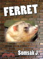 Ferret