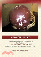 Maroon Paint