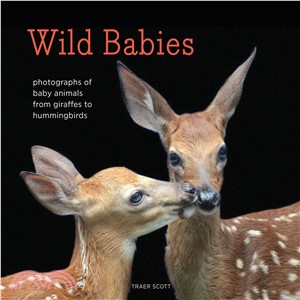 Wild babies :photographs of ...