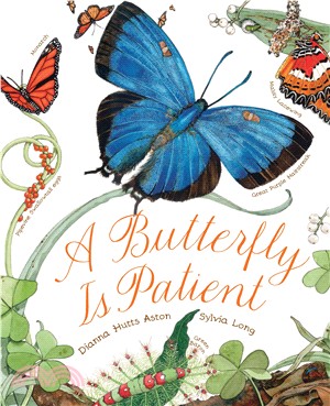 A butterfly is patient /