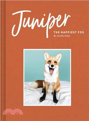 Juniper - the Happiest Fox