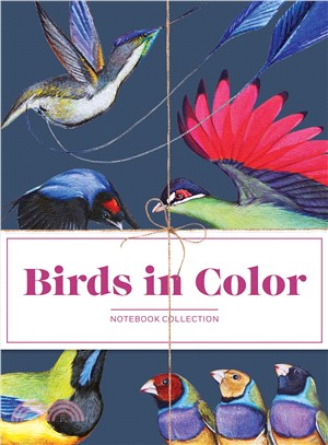 Birds in Color Notebooks