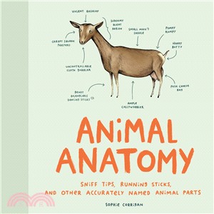 Animal Anatomy ― Sniff Tips, Running Sticks, and Other Accurately Named Animal Parts