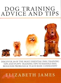 Dog Training Advice and Tips