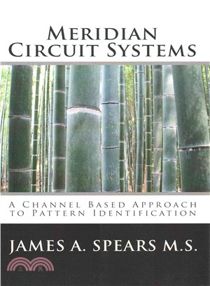 Meridian Circuit Systems ― A Channel Based Approach to Pattern Identification