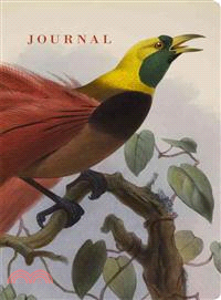 Natural Histories Journal: Bird