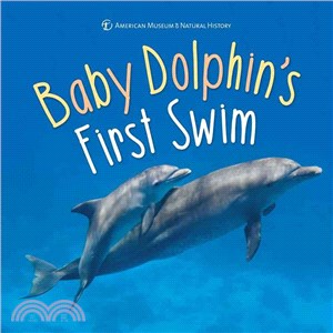Baby dolphin's first swim.