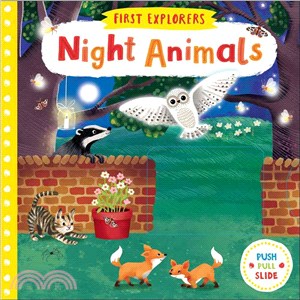 Night Animals