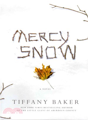 Mercy Snow :a novel /