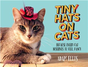 Tiny Hats on Cats ─ Because Every Cat Deserves to Feel Fancy