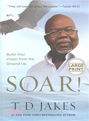 Soar!build your vision from the ground up /