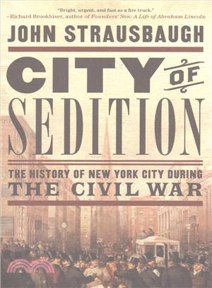 City of Sedition ─ The History of New York City During the Civil War