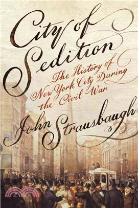 City of Sedition ─ The History of New York City During the Civil War