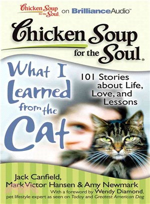 What I Learned from the Cat
