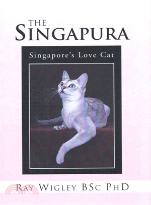 The Singapura ─ Singapore Love Cat