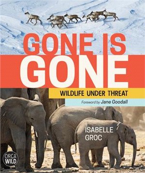 Gone Is Gone ― Wildlife Under Threat