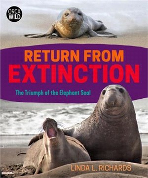 Return from Extinction ― The Triumph of the Elephant Seal