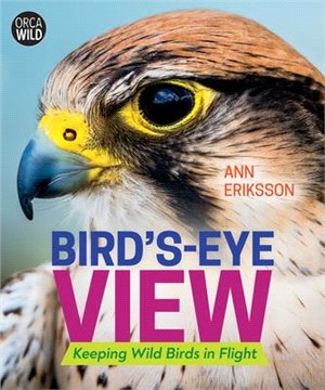 Bird's-eye View ― Keeping Wild Birds in Flight