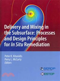 Delivery and Mixing in the Subsurface―Processes and Design Principles for in Situ Remediation