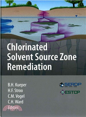 Chlorinated Solvent Source Zone Remediation