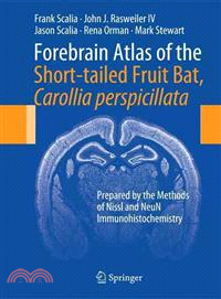 Forebrain Atlas of the Short-Tailed Fruit Bat, Carollia Perspicillata ― Prepared by the Methods of Nissl and Neun Immunohistochemistry