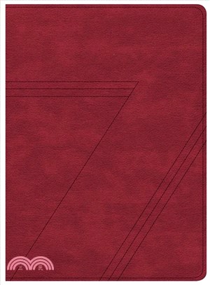 Holy Bible ― Csb Seven Arrows Bible, Crimson Leathertouch - the How-to-study Bible for Students