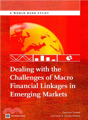 Dealing With the Challenges of Macro Financial Linkages in Emerging Markets