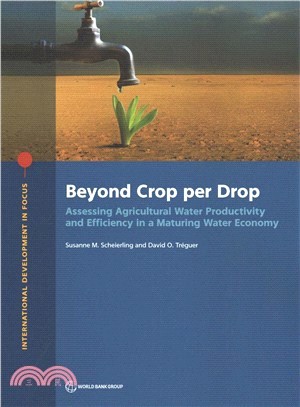 Beyond Crop Per Drop ― Assessing Agricultural Water Productivity and Efficiency in a Maturing Water Economy