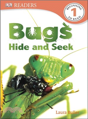 Bugs Hide and Seek