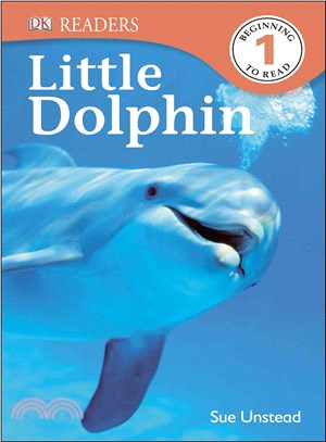 Little Dolphin