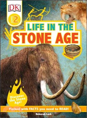 Life in the Stone Age