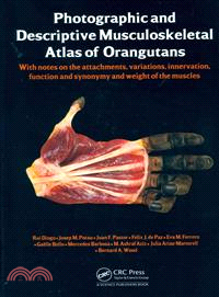 Photographic and Descriptive Musculoskeletal Atlas of Orangutans ─ With Notes on the Attachements, Variations, Innervations, Function and Synonymy and Weight of the Muscles