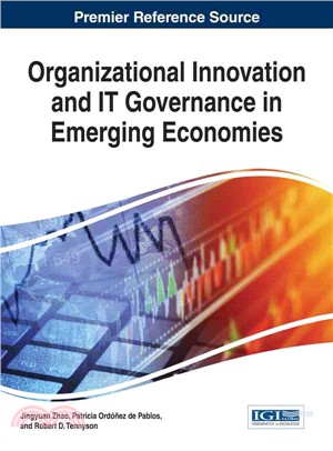 Organizational Innovation and It Governance in Emerging Economies