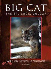 Big Cat ─ The St. Croix Cougar