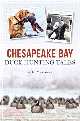 Chesapeake Bay Duck Hunting Tales