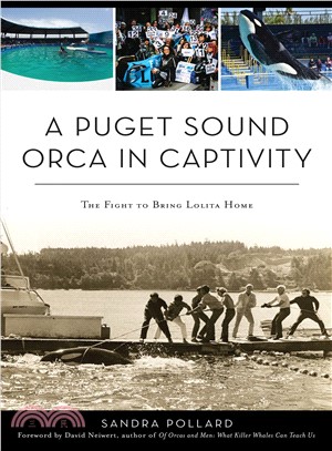 A Puget Sound Orca in Captivity ― The Fight to Bring Lolita Home