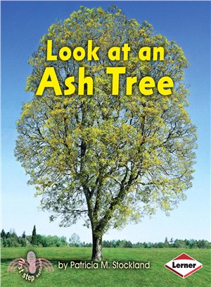 Look at an Ash Tree