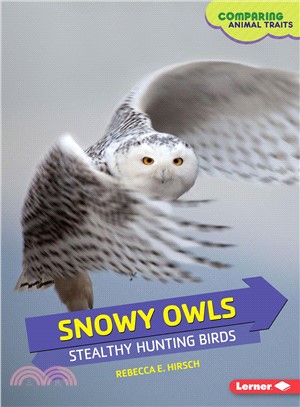 Snowy Owls ― Stealthy Hunting Birds