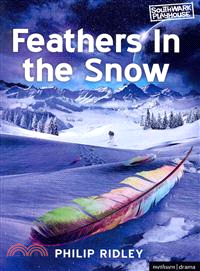 Feathers in the Snow