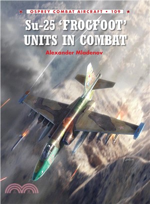 SU-25 'Frogfoot' Units in Combat