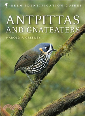 Antpittas and Gnateaters /
