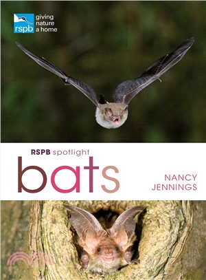 Rspb Spotlight Bats