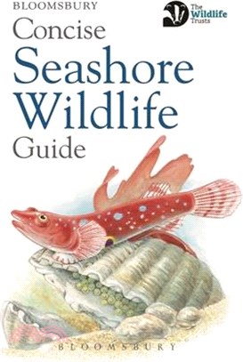 Concise Seashore Wildlife Guide