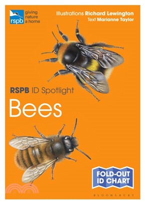 Rspb Id Spotlight - Bees