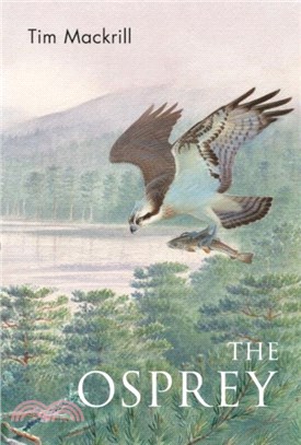 The Osprey