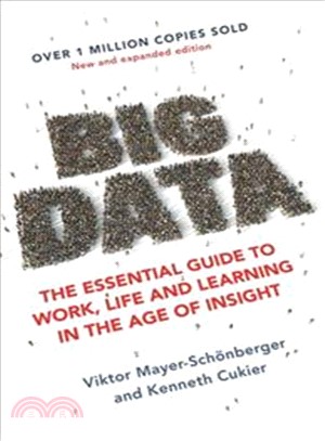 Big Date: The Essential Guide to Work, Life and Learning in the Age of Insight
