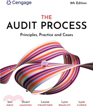 THE AUDIT PROCESS 8E