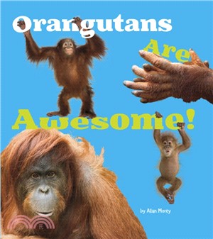 Orangutans Are Awesome!