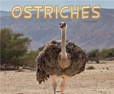 Ostriches