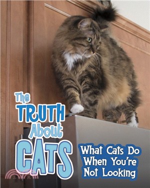 The Truth about Cats：What Cats Do When You're Not Looking